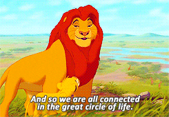 Circle of Life